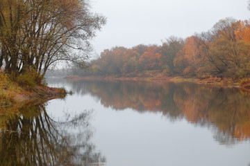 reflection of trees on the water of a forest lake in autumn.