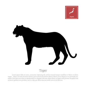 Black silhouette of a japanese tiger on white background. Isolated image. Animals of Japan