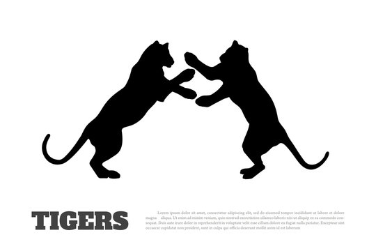 Black silhouette of fighting tigers on white background. Isolated image. Icon of wildcat