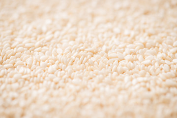 Sesame seeds close up macro shot