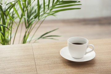 plant - areca palm on the wooden desk.