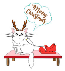 A cute cat with a Christmas antler headband harnessed in a sled
