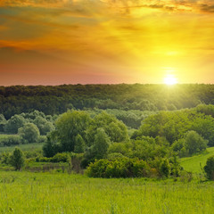 Green fields and a bright sunrise