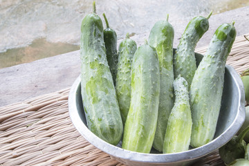 Raw Organic Cucumbers.Cucumber photo.Cucumber harvest.Agriculture,Plant,Nature Photo.