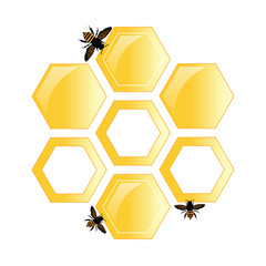 bees_on_the_background_of_honey