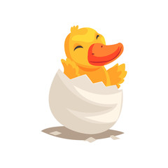 Cute duckling baby hatching from egg