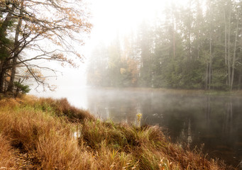 Fototapeta na wymiar Misty autumn morning by the riverside. Farnebofjarden national park in Sweden.