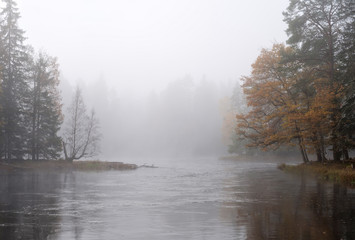 Obraz na płótnie Canvas Misty autumn morning by the riverside. Farnebofjarden national park in Sweden.