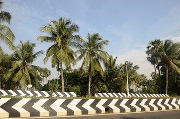 Fototapeta na wymiar Route de Chennai à Mahäbalipuram (Tamil Nadu- Inde)