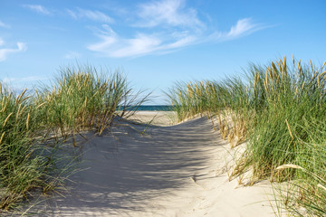 Beach with sand dunes and marram grass.
