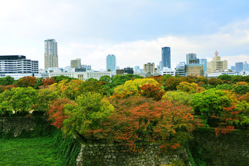 Fototapeta premium Building and landmark in kyoto Japan - Green city of concept