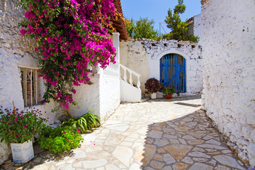 Fototapeta na wymiar old street with beautiful flowers in greek village afionas on corfu island, greece