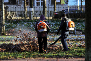 workers with industrial vacuum cleaners collect fallen maple and oak leaves in a heap