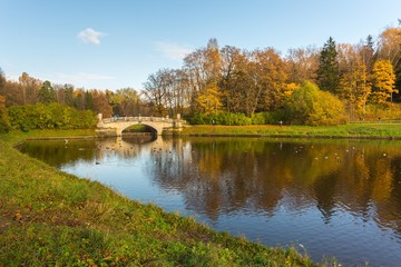 Bright autumn water landscape 