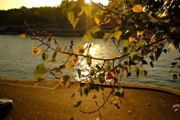 Automne à Paris, France