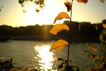 Automne à Paris, France