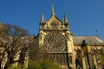 Cathédrale de Notre Dame à Paris, France