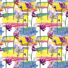 Wildflower aster flower pattern in a watercolor style. Full name of the plant: aster. Aquarelle wild flower for background, texture, wrapper pattern, frame or border.
