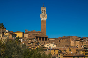 Obraz premium Veduta panoramica di Siena e della torre del Mangia