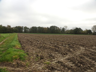 Frisch gepflügtes Feld am Niederrhein