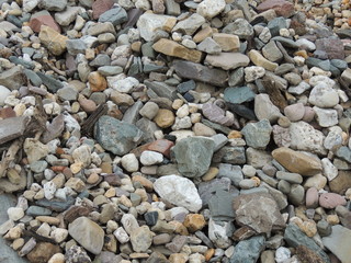 Rheinkiesel Hintergrund 