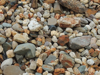Rheinkiesel Hintergrund 