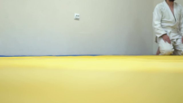 a lesson in Aikido