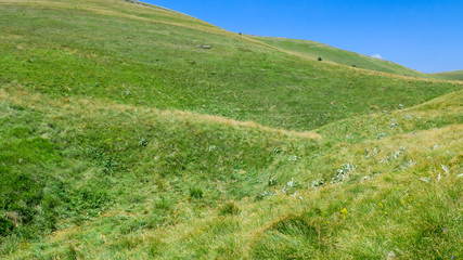 Fototapeta premium Green fields on the mountain in Eastern Serbia