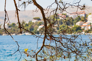 Beautiful croatian beach