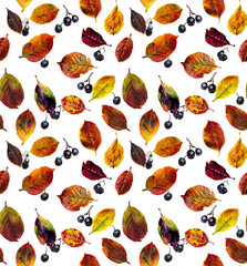 Seamless pattern from fallen leaves. Autumn collection. Watercolor hand drawn illustration