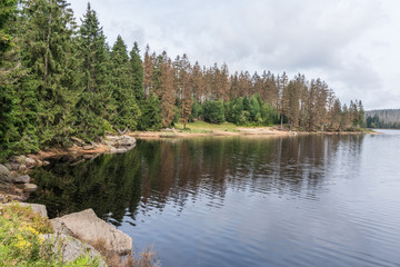 Fototapeta na wymiar The Silberteich lake in Harz, Germany
