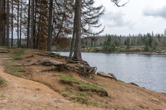 The Silberteich lake  in Harz, Germany