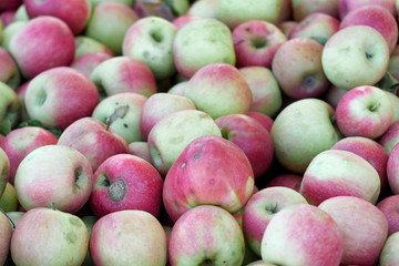 Red and green apples in  fruit market