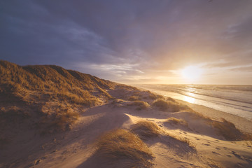 Dünen bei Sonnenuntergang an Dänemarks Nordseeküste