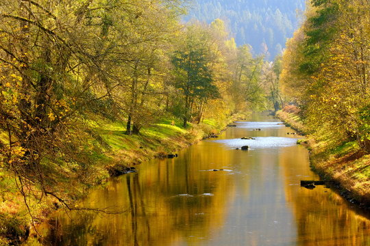 Indian Summer an der Nagold
