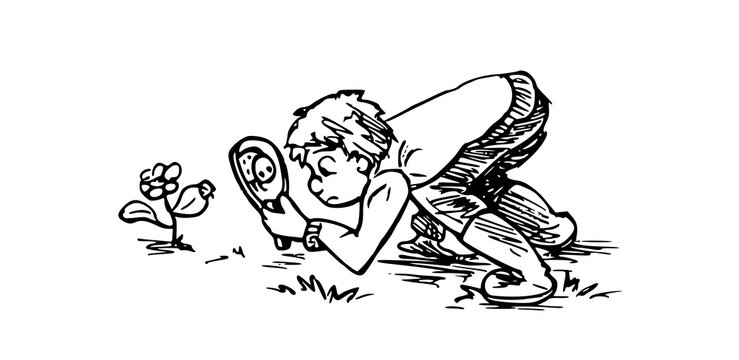 jongen op zoek naar kleine dieren