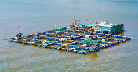 Fototapeta na wymiar fish breeding farm in the southern Vietnam on river