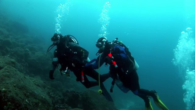 Scuba divers underwater in Galapagos. Unique beautiful video. Abyssal relax diving in world of wildlife. Natural aquarium of sea and ocean. Multicolor animals.