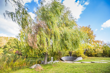 Fototapeta premium Herbst in Kurpark Oberlaa in Wien