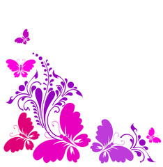 beautiful pink butterflies, isolated  on a white