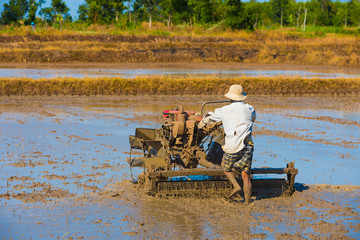 Obraz premium Vietnamese farmer prepares drowned field for rice sowing