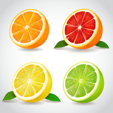 Fresh citrus fruit halves. Orange grapefruit lemon lime isolated vector realistic icons