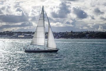 Obraz premium Sailing ship in Auckland, New Zealand