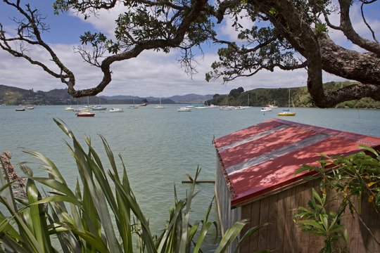 Mangonui New Zealand