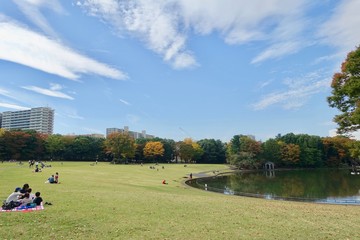 秋の公園