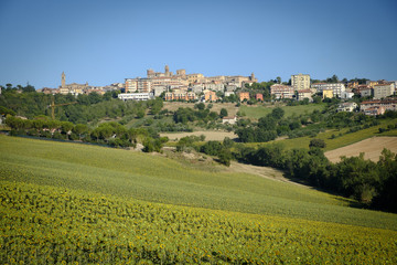 Summer landscape in Marches (Italy) near Filottrano