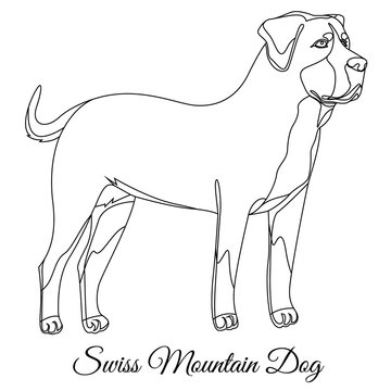 Swiss Mountain Dog Outline