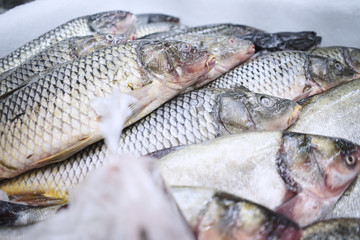 Close-up. Seafood. Shrimp. Frozen fish for sale. Score. Supermarket. Blurred Background