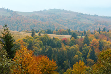 Fototapeta premium Autumn Carpathians (Ukraine).