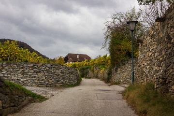 Famous vineyards in Wachau, Spitz, Austria